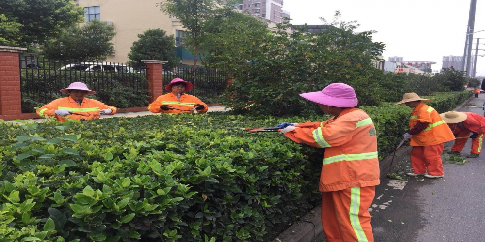 新站區(qū)道路清掃保潔、綠化管養(yǎng)項目